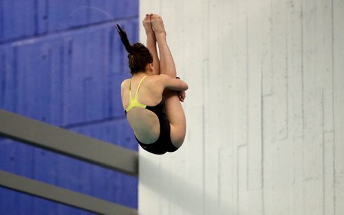 TREVOR HAGAN / WINNIPEG FREE PRESS
Talia Wootton, from the Ottawa National Diving Club, diving from the 10m platform at Pan Am Pool during the 2010 Polar Bear Classic, Friday, February 8, 2019.