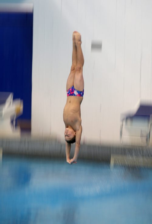 TREVOR HAGAN / WINNIPEG FREE PRESS
Lukas Knakoske diving from the 5m platform at Pan Am Pool during the 2010 Polar Bear Classic, Friday, February 8, 2019.