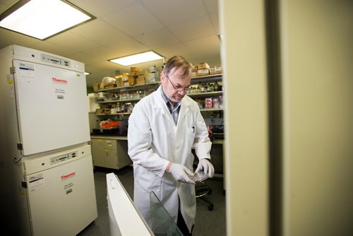 MIKAELA MACKENZIE / WINNIPEG FREE PRESS
Professor of medical microbiology at the University of Manitoba Kevin Coombs takes samples out of an incubator, where he researches viruses and influenza, at the John Buhler Research Centre in Winnipeg on Monday, Feb. 11, 2019.
Winnipeg Free Press 2019.