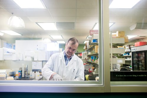 MIKAELA MACKENZIE / WINNIPEG FREE PRESS
Professor of medical microbiology at the University of Manitoba Kevin Coombs poses in his lab, where he researches viruses and influenza, at the John Buhler Research Centre in Winnipeg on Monday, Feb. 11, 2019.
Winnipeg Free Press 2019.