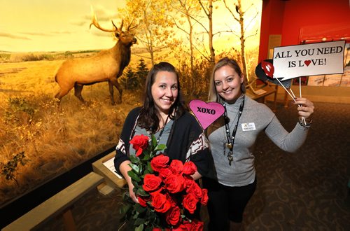 RUTH BONNEVILLE / WINNIPEG FREE PRESS

Manitoba Museum Staff, Corinne Antoniuk - Learning & Engagement Producer (flowers) and Desiree Rantala - Digital Media Coordinator (signs), pose for a photo in the Elk Diorama Parkland Gallery on Tuesday which is part of the upcoming event called After Hours Wild Romance, the first event of its kind at the Manitoba Museum which takes place on Valentines Day.

See Jen's story.

Feb 11, 2019
