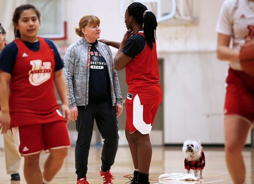 JOHN WOODS / WINNIPEG FREE PRESS
The University of Winnipeg (U of W) Wesmen women's basketball head coach Tanya McKay talks to player Faith Hezekiah as her dog Brinny looks on during practice at the University of Winnipeg Tuesday, February 12, 2019. The Wesmen teams have advanced to the second round of the Canada West conference playoffs.