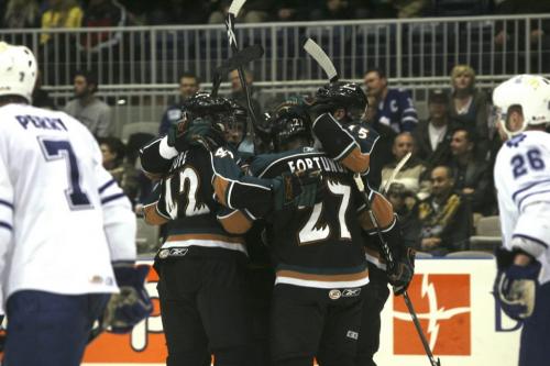 April 21, 2009, 2009 -  Manitoba Moose defensive player Maxime Fortunus celebrates his second period goal against the Toronto Marlies during second period playoff action at the Ricoh Centre in Toronto on April 21, 2009.  Manitoba won the game 5-1. Photo by Colin O'Connor for The Winnipeg Free Press.