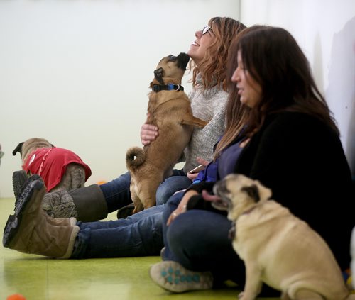 TREVOR HAGAN / WINNIPEG FREE PRESS
Tammy McKinnon and Christine Rider at a meeting of pug enthusiasts and related breeds gathered at Central Bark on Portage Avenue, Sunday, February 17, 2019.