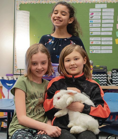 Canstar Community News Beaverlodge School students made a calendar of their school rabbit for a fundraiser. (EVA WASNEY/CANSTAR COMMUNITY NEWS/METRO)