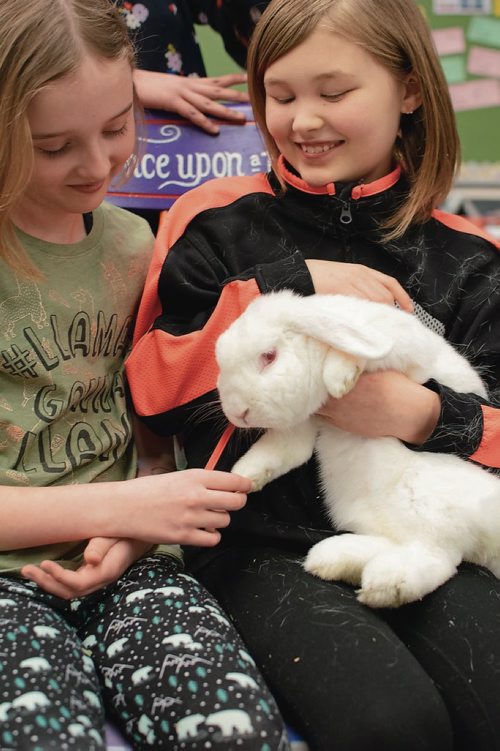 Canstar Community News Beaverlodge School students made a calendar of their school rabbit for a fundraiser. (EVA WASNEY/CANSTAR COMMUNITY NEWS/METRO)