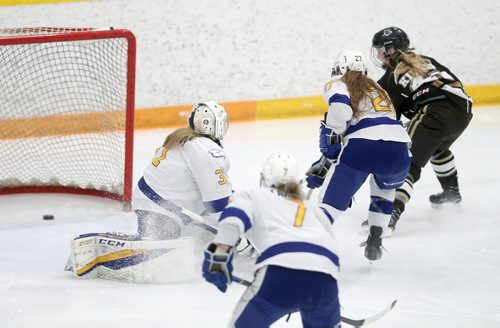 TREVOR HAGAN / WINNIPEG FREE PRESS
Manitoba Bisons' forward Karissa Kirkup (41) scores on UBC Thunderbirds goaltender Tory Micklash (31), during the first period of game 2 of their playoff series, Saturday, February 23, 2019.