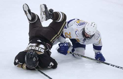 TREVOR HAGAN / WINNIPEG FREE PRESS
Manitoba Bisons' defenseman Erica Rieder (17) collides with UBC Thunderbirds Hannah Clayton-Carroll (22), during the first period of game 2 of their playoff series, Saturday, February 23, 2019.
