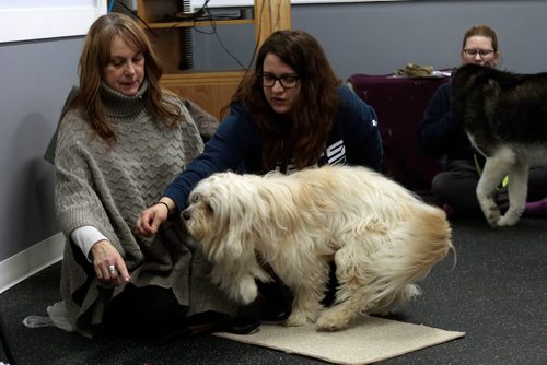 PHIL HOSSACK / WINNIPEG FREE PRESS Leesa Dahl (left) and her Lhasa apso cross, Oliver, get acting lessons from Animal Actors of Manitoba instructor Brittney Voth. - February 26, 2019.