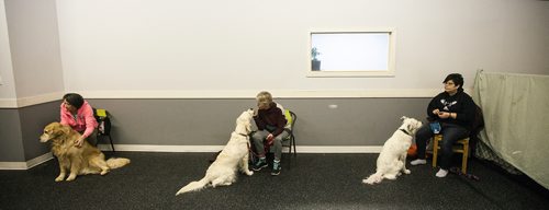 PHIL HOSSACK / WINNIPEG FREE PRESS -From left: Deborah Wood and her dog Sirius; Denise Hickson and her dog Lexi; Heather Malazdrewicz and her dog Bling at the Animal Actors of Manitoba workshop. - February 26, 2019.
