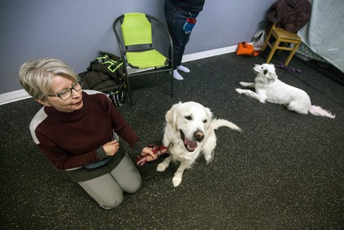 PHIL HOSSACK / WINNIPEG FREE PRESS -Denise Hickson and her dog Lexi, a British style golden retriever at the Animal Actors of Manitoba workshop. February 26, 2019.