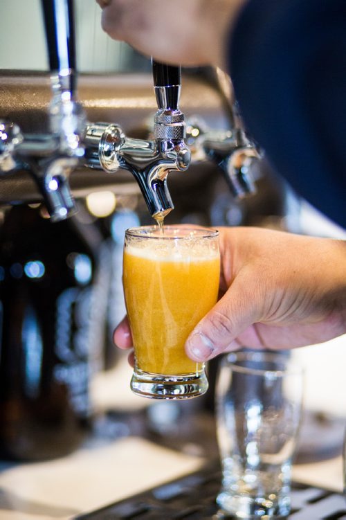 MIKAELA MACKENZIE / WINNIPEG FREE PRESS
Andrew Sookram, who's opening a new brewery called Sookram's, pours a flight of beers in the taproom in Winnipeg on Wednesday, March 6, 2019. 
Winnipeg Free Press 2019.