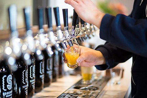 MIKAELA MACKENZIE / WINNIPEG FREE PRESS
Andrew Sookram, who's opening a new brewery called Sookram's, pours a flight of beers in the taproom in Winnipeg on Wednesday, March 6, 2019. 
Winnipeg Free Press 2019.