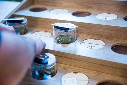 MIKAELA MACKENZIE / WINNIPEG FREE PRESS
Cannabis is set out at the new Delta 9 store in Osborne Village in Winnipeg on Wednesday, March 20, 2019. 
Winnipeg Free Press 2019.