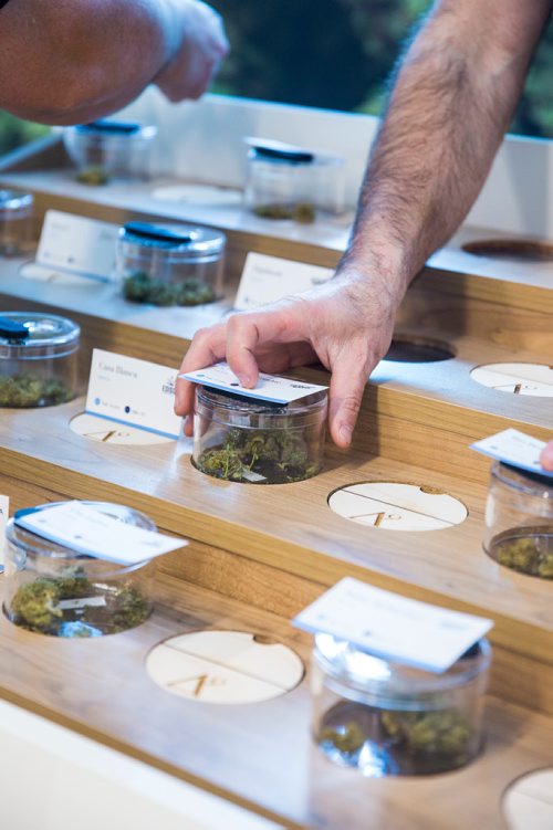 MIKAELA MACKENZIE / WINNIPEG FREE PRESS
Cannabis is set out at the new Delta 9 store in Osborne Village in Winnipeg on Wednesday, March 20, 2019. 
Winnipeg Free Press 2019.