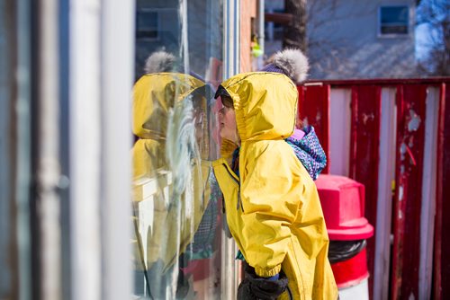 MIKAELA MACKENZIE / WINNIPEG FREE PRESS
Bennet Komarnicki, four, peeks in the window before being the very first to get a cone (before the official opening time) at Bridge Drive In on opening day in Winnipeg on Friday, March 22, 2019. He lives nearby and has been waiting all winter for ice cream.
Winnipeg Free Press 2019.