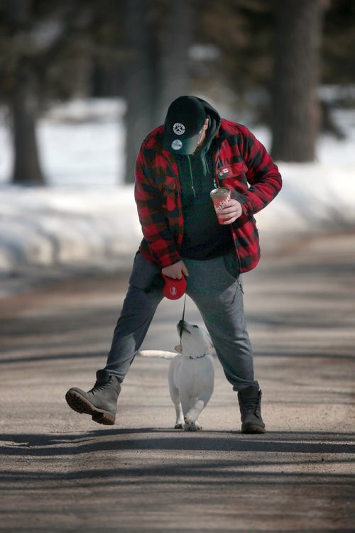 PHIL HOSSACK / WINNIPEG FREE PRESS - STANDUP 10 week old yellow lab 'Gunner' introduces his owner James Armstrong to the fine art of walking on a leash Saturday afternoon. The pair were walking the rounds at St Vital Park enjoying the forecasted +8C temps. TWO OF TWO PICS -  March 23, 2019.