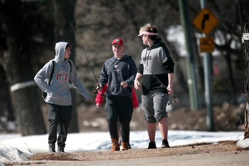 PHIL HOSSACK / WINNIPEG FREE PRESS - STANDUP  Left to right, Ramon Wallace, Lucas Hutchinson and Tristan Vary make their way home along Wellington Crescent Saturday afternoon after a fishing expedition to Oman's Creek. Just a few nibbles they said, no fish fry tonite. -  March 23, 2019.