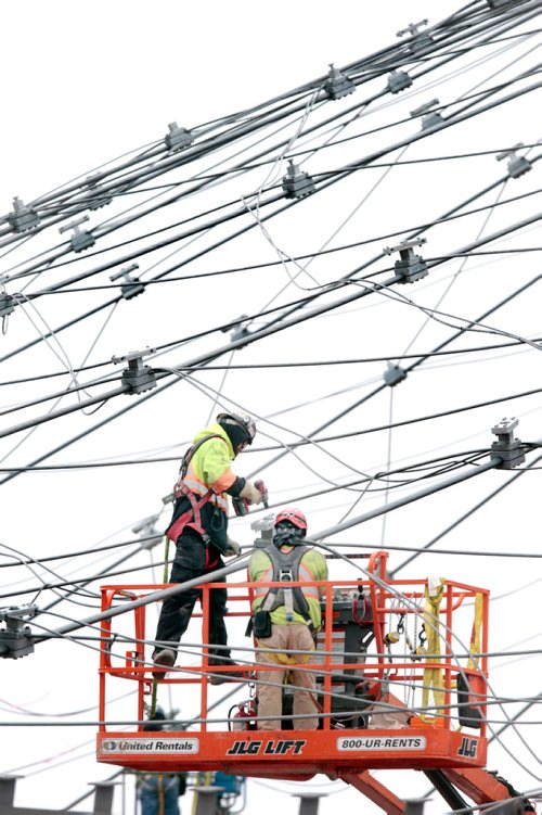 PHIL HOSSACK / WINNIPEG FREE PRESS - STAND-UP A pair of construction workers lace up suspension wires making up part of the Canada's Diversity Gardens structure rising in Assiniboine Park Tuesday afternoon. STAND-UP - March 26, 2019.