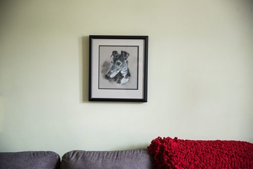 MIKAELA MACKENZIE / WINNIPEG FREE PRESS
Susan Lohse, vice president of Northern Sky Greyhounds, has a portrait of one of her greyhounds up on her wall in Winnipeg on Thursday, March 28, 2019.  For Declan Schroeder story.
Winnipeg Free Press 2019.