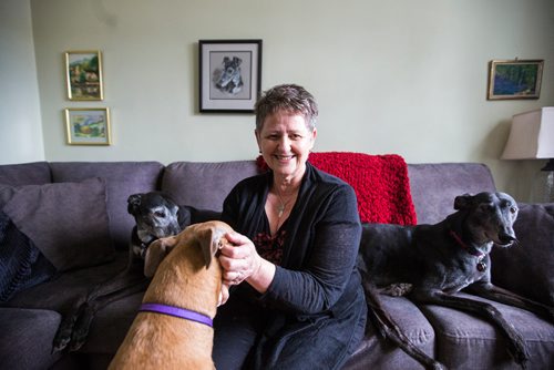 MIKAELA MACKENZIE / WINNIPEG FREE PRESS
Susan Lohse, vice president of Northern Sky Greyhounds, with her three dogs and a friend's greyhound in Winnipeg on Thursday, March 28, 2019.  For Declan Schroeder story.
Winnipeg Free Press 2019.