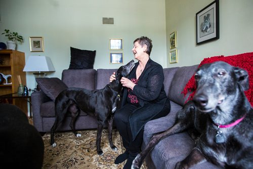 MIKAELA MACKENZIE / WINNIPEG FREE PRESS
Susan Lohse, vice president of Northern Sky Greyhounds, with her three dogs and a friend's greyhound in Winnipeg on Thursday, March 28, 2019.  For Declan Schroeder story.
Winnipeg Free Press 2019.