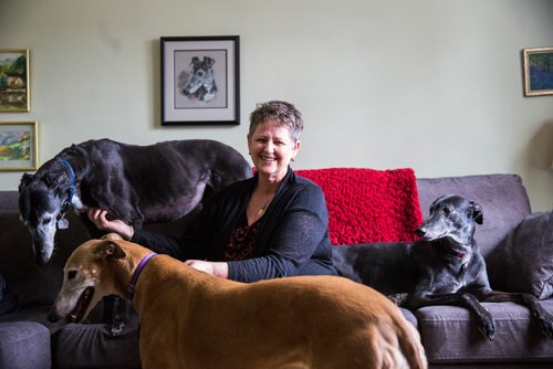 MIKAELA MACKENZIE / WINNIPEG FREE PRESS
Susan Lohse, vice president of Northern Sky Greyhounds, with her three dogs and a friend's greyhound in Winnipeg on Thursday, March 28, 2019.  For Declan Schroeder story.
Winnipeg Free Press 2019.