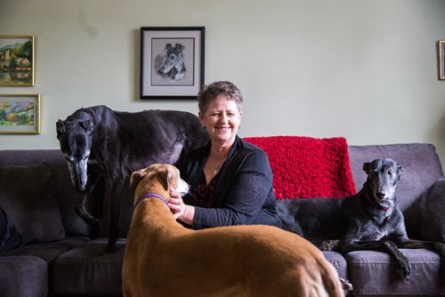 MIKAELA MACKENZIE / WINNIPEG FREE PRESS
Susan Lohse, vice president of Northern Sky Greyhounds, with her three dogs and a friend's greyhound in Winnipeg on Thursday, March 28, 2019.  For Declan Schroeder story.
Winnipeg Free Press 2019.