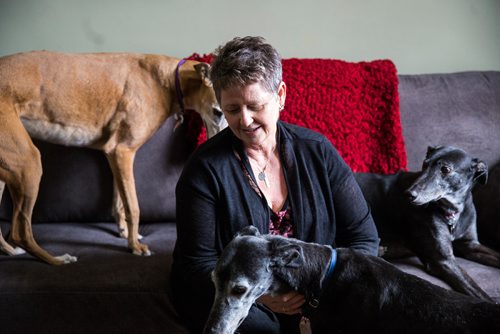 MIKAELA MACKENZIE / WINNIPEG FREE PRESS
Susan Lohse, vice president of Northern Sky Greyhounds, with her three dogs and a friend's greyhound in Winnipeg on Thursday, March 28, 2019.  For Declan Schroeder story.
Winnipeg Free Press 2019.