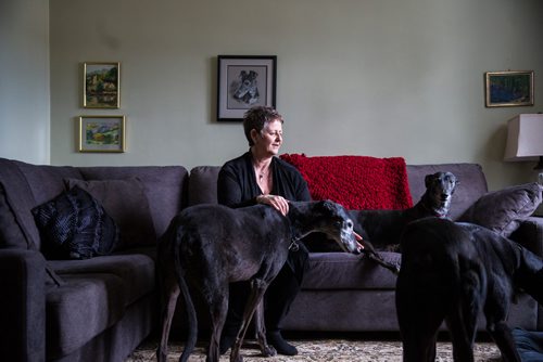 MIKAELA MACKENZIE / WINNIPEG FREE PRESS
Susan Lohse, vice president of Northern Sky Greyhounds, with her three dogs and a friend's greyhound in Winnipeg on Thursday, March 28, 2019.  For Declan Schroeder story.
Winnipeg Free Press 2019.