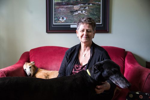 MIKAELA MACKENZIE / WINNIPEG FREE PRESS
Susan Lohse, vice president of Northern Sky Greyhounds, with her three dogs and a friend's greyhound in Winnipeg on Thursday, March 28, 2019.  For Declan Schroeder story.
Winnipeg Free Press 2019.