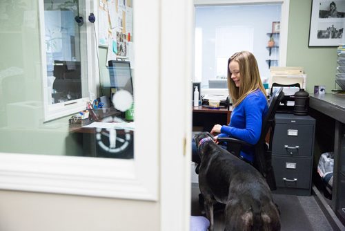 MIKAELA MACKENZIE / WINNIPEG FREE PRESS
Carrie Hasinoff, an owner of a Northern Sky dog, and her greyhound Stormy in her office at No-Spill Systems in Winnipeg on Friday, March 29, 2019.  For Declan Schroeder story.
Winnipeg Free Press 2019.