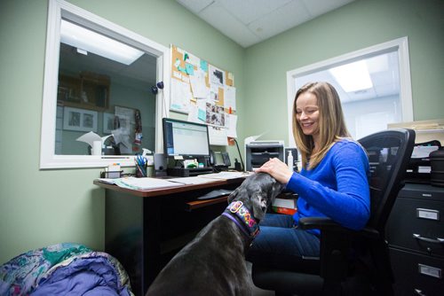 MIKAELA MACKENZIE / WINNIPEG FREE PRESS
Carrie Hasinoff, an owner of a Northern Sky dog, and her greyhound Stormy in her office at No-Spill Systems in Winnipeg on Friday, March 29, 2019.  For Declan Schroeder story.
Winnipeg Free Press 2019.