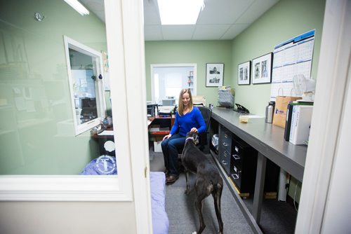 MIKAELA MACKENZIE / WINNIPEG FREE PRESS
Carrie Hasinoff, an owner of a Northern Sky dog, and her greyhound Stormy in her office at No-Spill Systems in Winnipeg on Friday, March 29, 2019.  For Declan Schroeder story.
Winnipeg Free Press 2019.