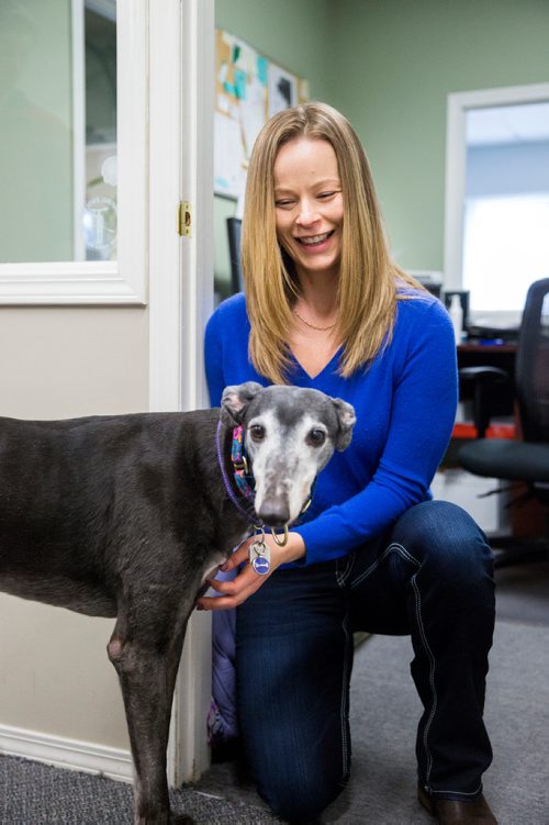 MIKAELA MACKENZIE / WINNIPEG FREE PRESS
Carrie Hasinoff, an owner of a Northern Sky dog, and her greyhound Stormy in her office at No-Spill Systems in Winnipeg on Friday, March 29, 2019.  For Declan Schroeder story.
Winnipeg Free Press 2019.