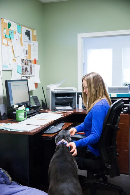 MIKAELA MACKENZIE / WINNIPEG FREE PRESS
Carrie Hasinoff, an owner of a Northern Sky dog, and her greyhound Stormy in her office at No-Spill Systems in Winnipeg on Friday, March 29, 2019.  For Declan Schroeder story.
Winnipeg Free Press 2019.