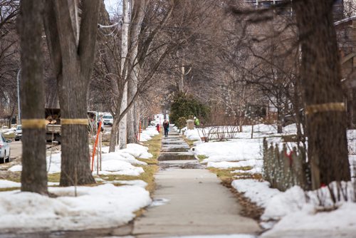 MIKAELA MACKENZIE / WINNIPEG FREE PRESS
Armstrong's Point in Winnipeg on Monday, April 1, 2019.  Heritage designation for the neighbourhood was unanimously approved by the committee. For Also Santin story.
Winnipeg Free Press 2019.