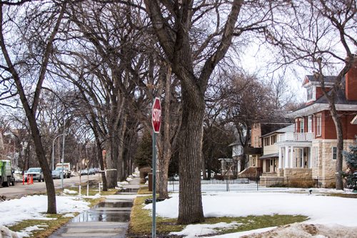 MIKAELA MACKENZIE / WINNIPEG FREE PRESS
Armstrong's Point in Winnipeg on Monday, April 1, 2019.  Heritage designation for the neighbourhood was unanimously approved by the committee. For Also Santin story.
Winnipeg Free Press 2019.