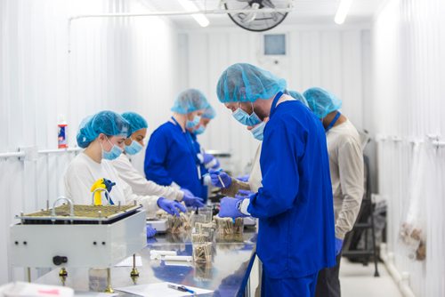 MIKAELA MACKENZIE / WINNIPEG FREE PRESS
Joints are pre-rolled at the Delta 9 Cannabis facility in Winnipeg on Tuesday, April 2, 2019.  For Solomon Israel story.
Winnipeg Free Press 2019.