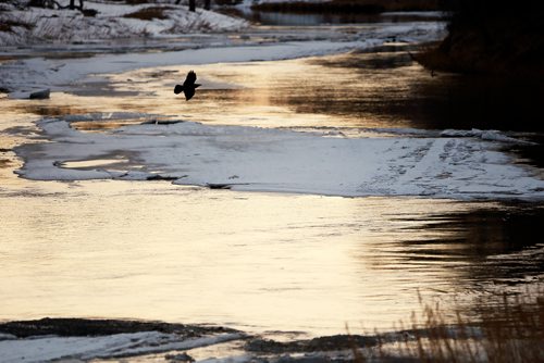 JOHN WOODS / WINNIPEG FREE PRESS
Open water is seen as ice melts in St Norbert Tuesday, April 2, 2019.