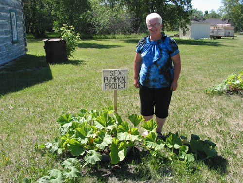 Canstar Community News July 8, 2018 - St. Francois Xavier Historical Society member Levina Cunningham stands next to pumpkin plants growing in Medicine Rock Park as part of the society's pumpkin project with local Grades 3 to 5 students. (ANDREA GEARY/CANSTAR COMMUNITY NEWS)