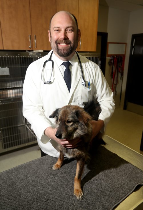 TREVOR HAGAN / WINNIPEG FREE PRESS
Dr.Jonas Watson, and his rescue dog, Karma, a 5 year old dog that he saved from the meat trade in Thailand, at Tuxedo Animal Hospital, for Melissa Martin story, Saturday, April 13, 2019.