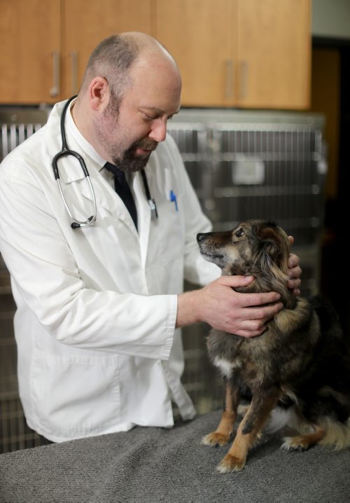 TREVOR HAGAN / WINNIPEG FREE PRESS
Dr.Jonas Watson, and his rescue dog, Karma, a 5 year old dog that he saved from the meat trade in Thailand, at Tuxedo Animal Hospital, for Melissa Martin story, Saturday, April 13, 2019.