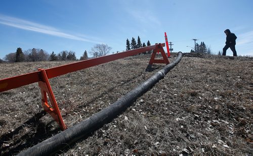 JOHN WOODS / WINNIPEG FREE PRESS
Jim Becker walks over a pump hose which crosses over the town dike in Emerson Sunday, April 14, 2019.

Reporter: Redekop