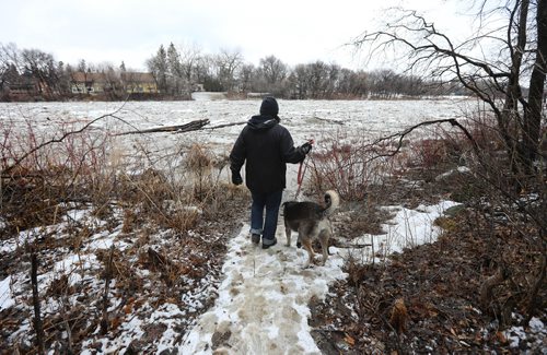 RUTH BONNEVILLE / WINNIPEG FREE PRESS 

Weather Standup

Christine Bibeau and her one-year-old dog Stella, stop to look at the ice flow along the Assiniboine River during their morning walk Monday. 

Standup photo 

April 15, 2019