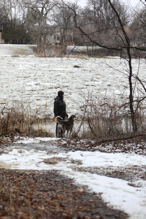 RUTH BONNEVILLE / WINNIPEG FREE PRESS 

Weather Standup

Christine Bibeau and her one-year-old dog Stella, stop to look at the ice flow along the Assiniboine River during their morning walk Monday. 

Standup photo 

April 15, 2019