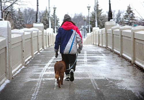 RUTH BONNEVILLE / WINNIPEG FREE PRESS 

Weather standup

A person walks their dog across the Assiniboine Park footbridge after mid-April snowfall Monday. 

April 15, 2019
