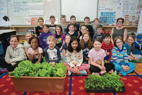 Canstar Community News April 11, 2019 - Students at Ecole Dieppe in Charleswood are growing vegetables in their classroom. (EVA WASNEY/CANSTAR COMMUNITY NEWS/METRO)