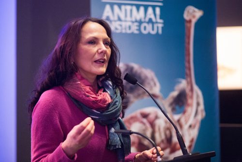 MIKAELA MACKENZIE/WINNIPEG FREE PRESS
Dr. Angelina Whalley, director of the Institute for Plastination and exhibition curator, speaks at the media preview for Animal Inside Out exhibition at the Manitoba Museum in Winnipeg on Tuesday, April 16, 2019. For Jill Wilson story.
Winnipeg Free Press 2019