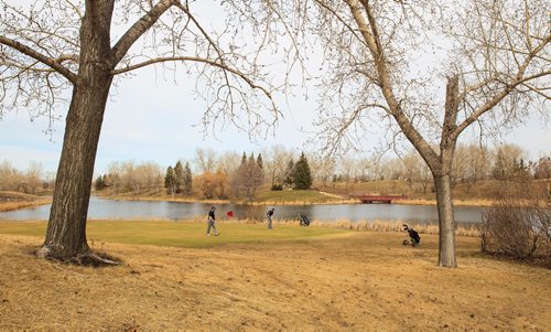 MIKE DEAL / WINNIPEG FREE PRESS
Golfers (from left) Andrew Bourgeois and Eric Loewen take advantage of the warm weather and hit the links at Harbour View Golf Course Friday morning on opening day at the course on Springfield Road just in the northeast of Winnipeg. 
190419 - Friday, April 19, 2019.